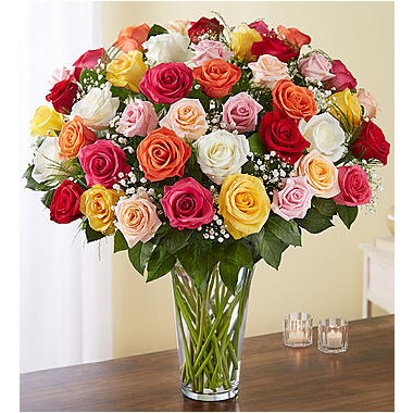 Ultimate Elegance™ Long Stem Assorted Roses