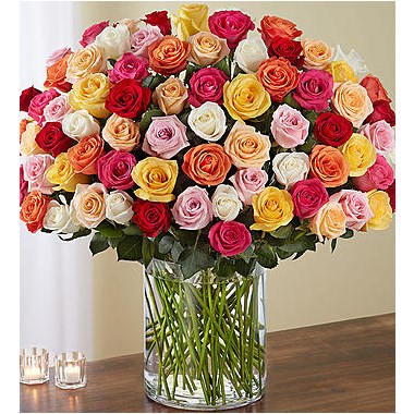 100 Premium Long Stem Multicolored Roses