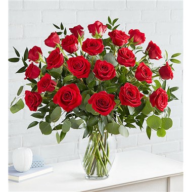 Heart's Desire™ Roses