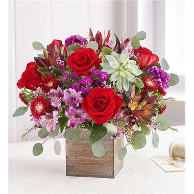 Radiant Jewel™ Succulent Bouquet