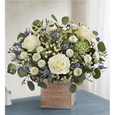 Country Pearl™ Succulent Bouquet