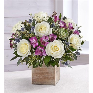 Amethyst Splendor™ Succulent Bouquet