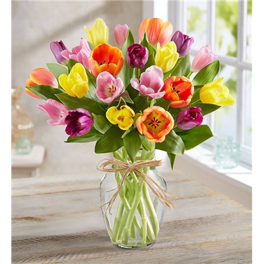 Timeless Tulips®