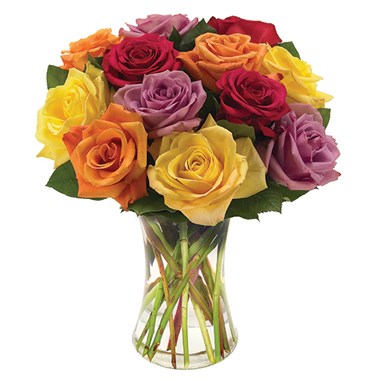 Classic Multi-Colored Roses In A Pitcher