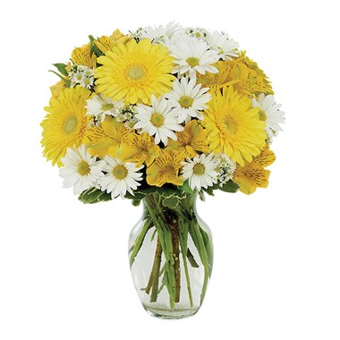 Daisy A Day Bouquet