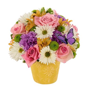 Daisy Sunshine Flower Bouquet (BF394-11KL)