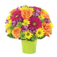 Brilliance Bouquet (BF123-11KM)