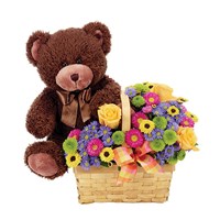 "Beary Happy Birthday" flowers (BF159-11KM)