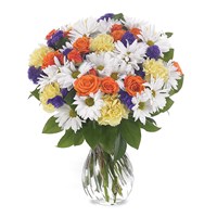 Daisy Delight flower bouquet (BF30-11K)