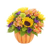 "Harvest Pumpkin" bouquet of flowers for sale