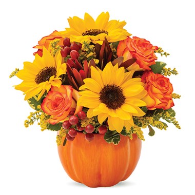 The Pumkins Pick